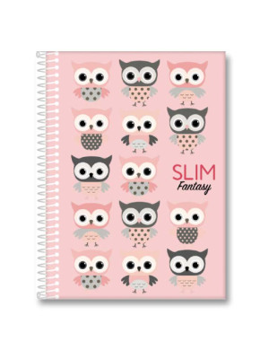 CADERNO 15X1 240 FOLHAS SLIM SORTIDO