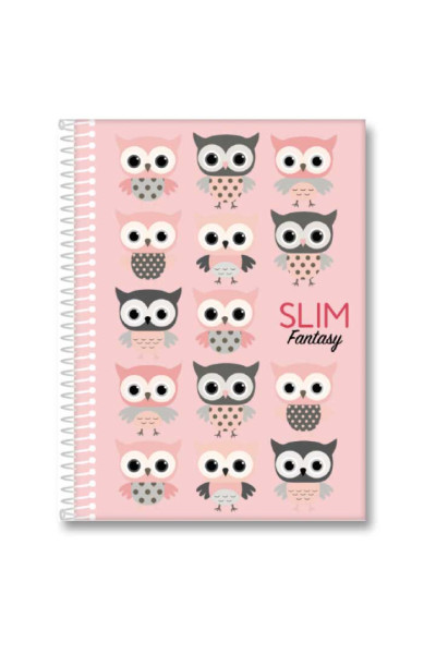 CADERNO 15X1 240 FOLHAS SLIM SORTIDO