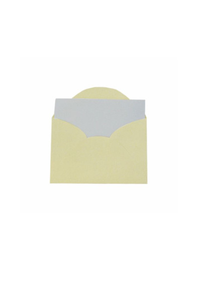 ENVELOPE VISITA C/CARTÃO, VERGÊ, 80GSM, ACOMPANHA 20 CARTÕES 180GS, EMBALAGEM EM PP 100% RECICLÁVEL, COR BERILO, FORMATO 80MM X 115MM