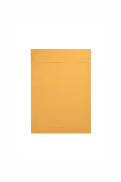 ENVELOPE SACO KRAFT OURO  - 10 UNID. (229mm X 324mm)