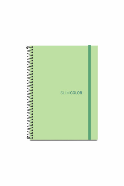 CADERNO COLEGIAL 80FL ESPIRAL CAPA PP VERDE