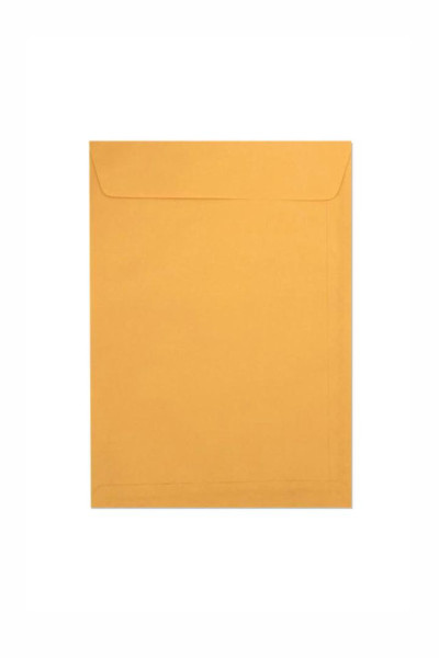 ENVELOPE SACO KRAFT OURO  - 10 UNID. (250mm X 353mm)
