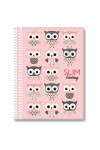CADERNO 15X1 240 FOLHAS SLIM SORTIDO