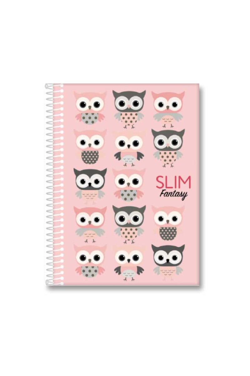 CADERNO 1/4 ESPIRAL 80 FOLHAS SLIM SORTIDO