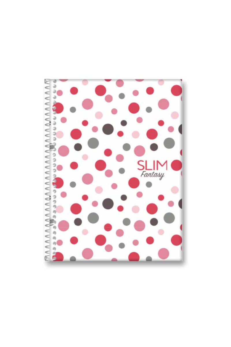 CADERNO 1/4 ESPIRAL 80 FOLHAS SLIM SORTIDO