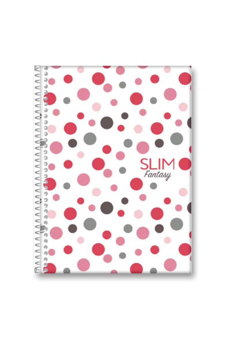 CADERNO 15X1 240 FOLHAS SLIM SORTIDO