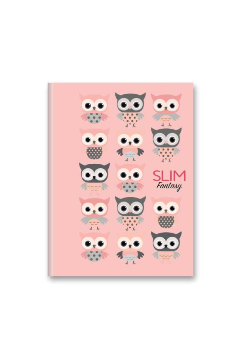 CADERNO BROCHURA 80 FOLHAS SLIM SORTIDO