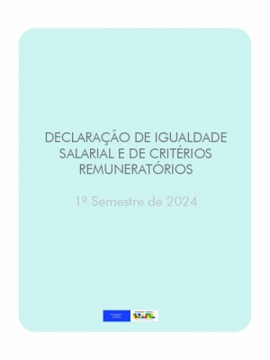 Declaração de Igualdade Salarial e de Critérios Remuneratórios - 1º Semestre de 2024